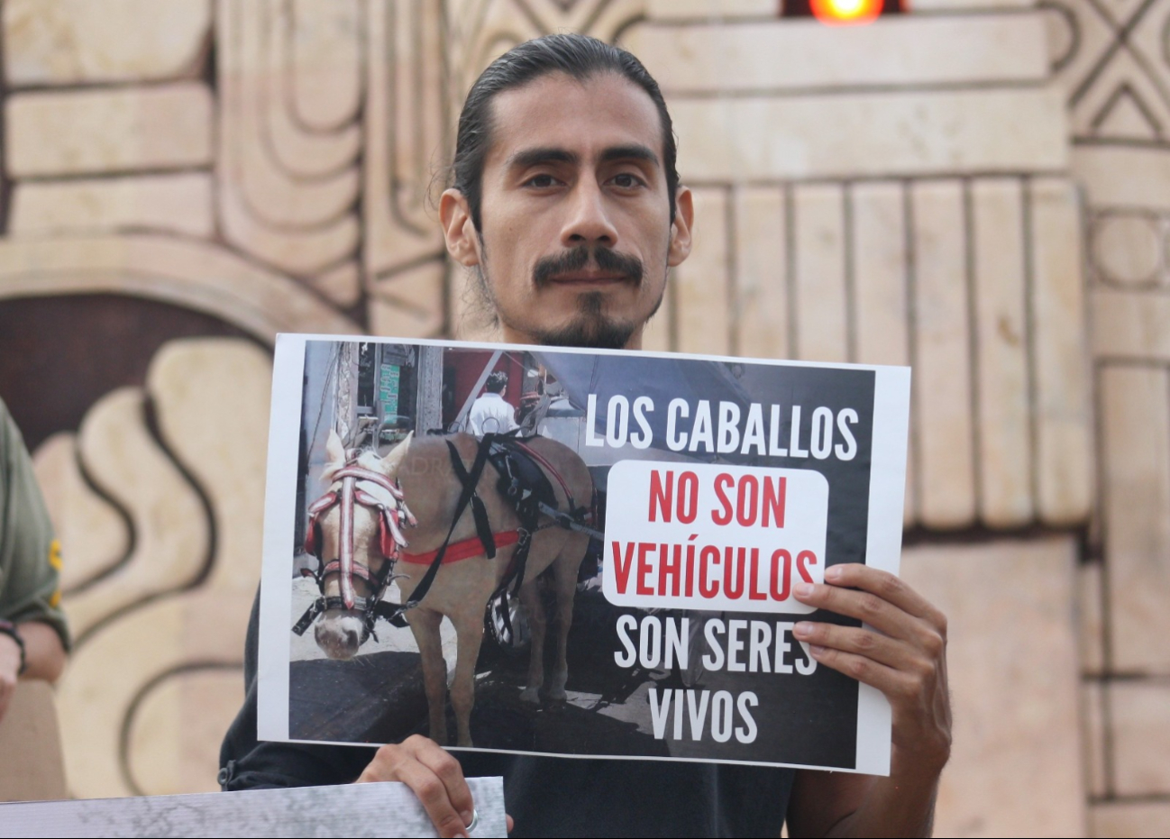 Activistas se manifiestan en contra de las calesas de caballos en Mérida / Nadie Tecuapetla