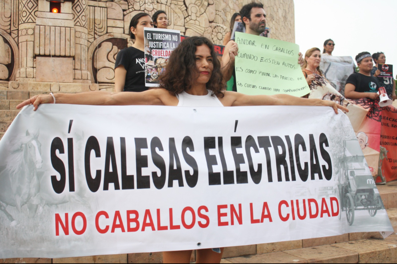 Activistas se manifiestan en contra de las calesas de caballos en Mérida