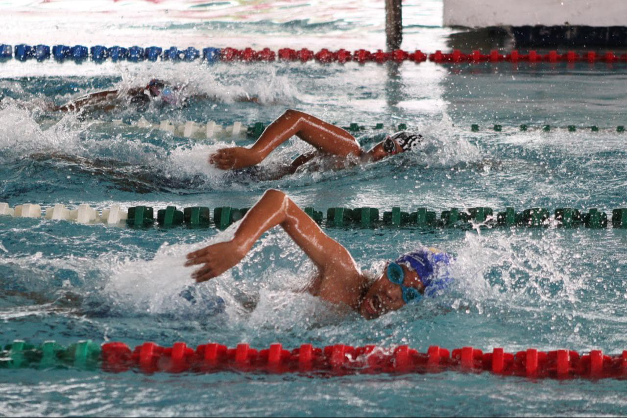 El Club Delfín de Chiapas lidera la tabla general con 210 puntos, seguido por el Club Acuarium de Yucatán con 182 puntos.