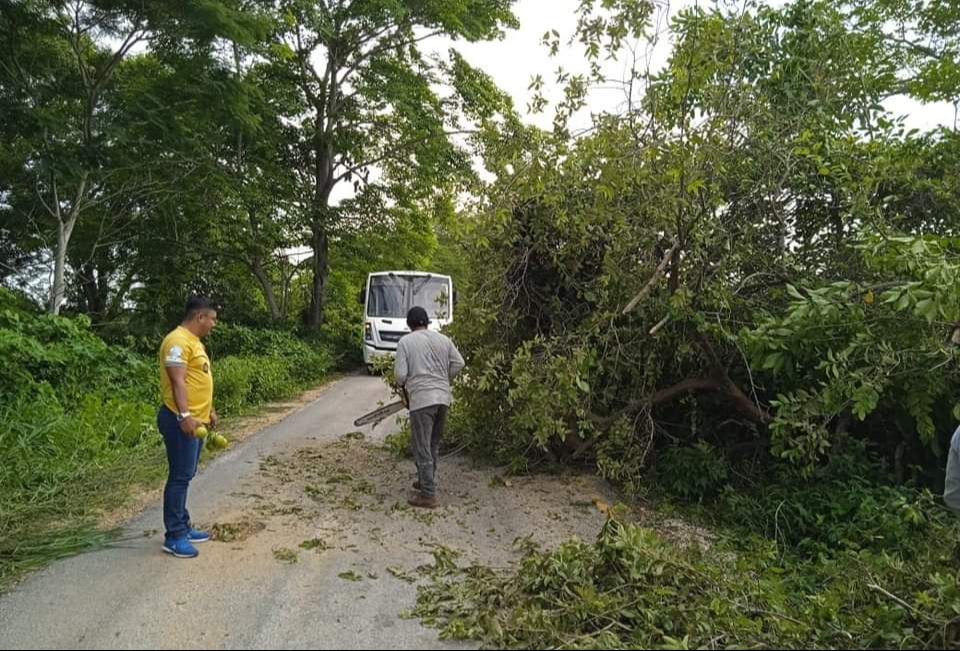 Unidades no podían atravesar la vía en Campeche