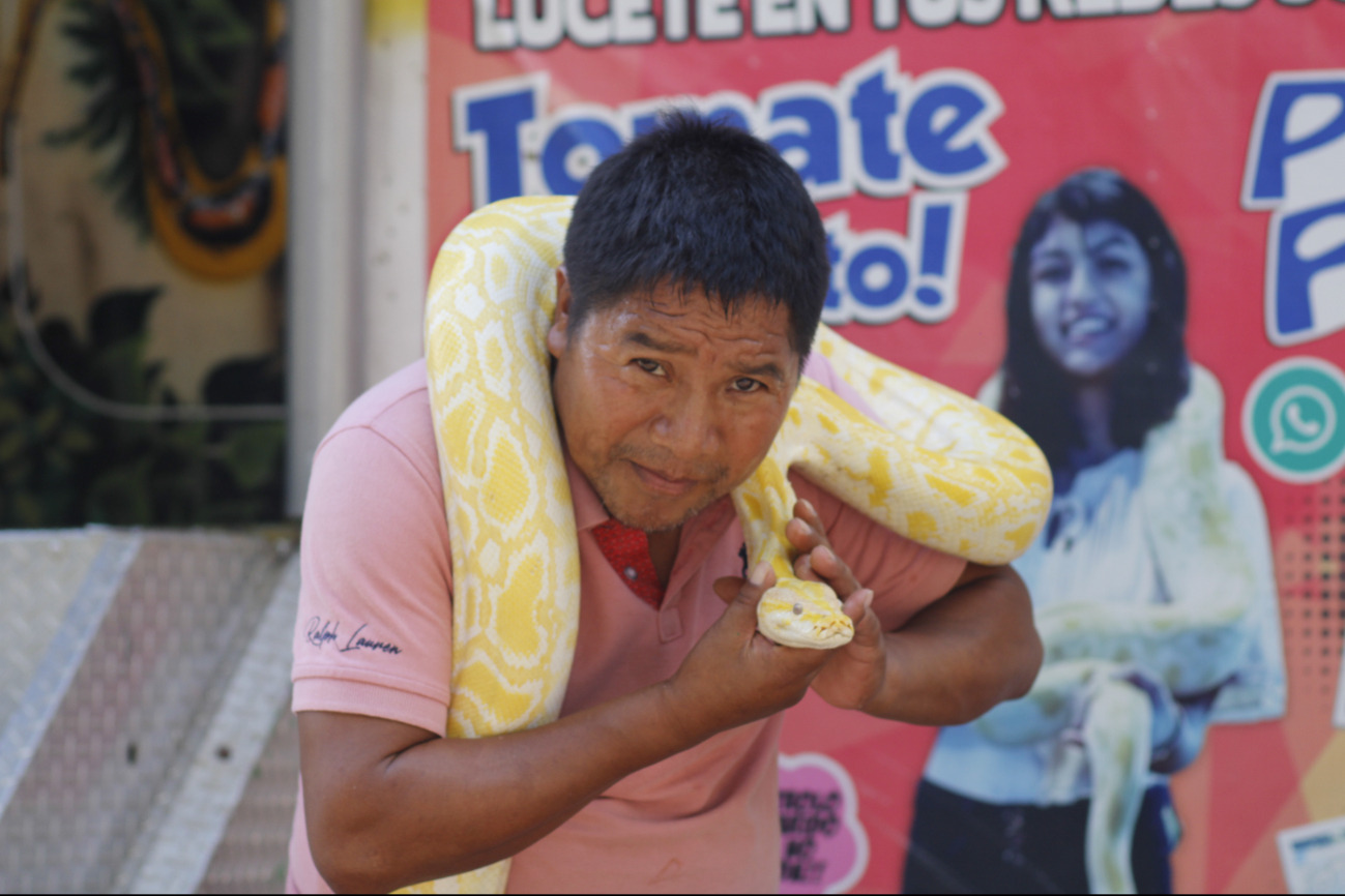 Hay serpientes de gran tamaño que habitan en México