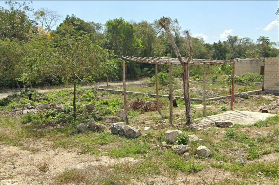 Familias que viven entre la maleza se abastecen de agua de pozos, y siguen llegan cada día más personas