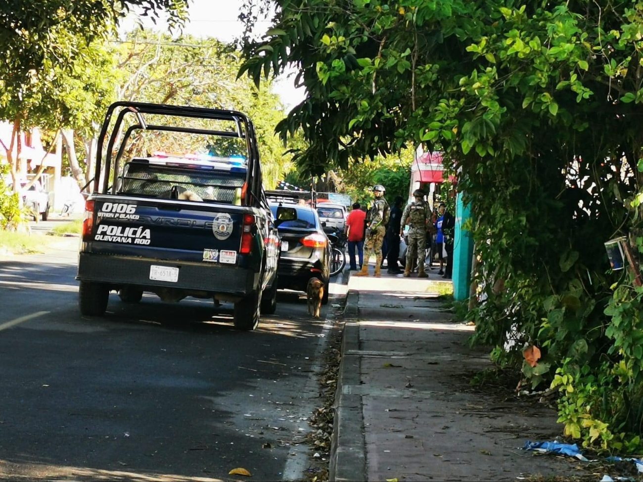 Viveros Salazar se negó a nombrar a las células criminales involucradas.