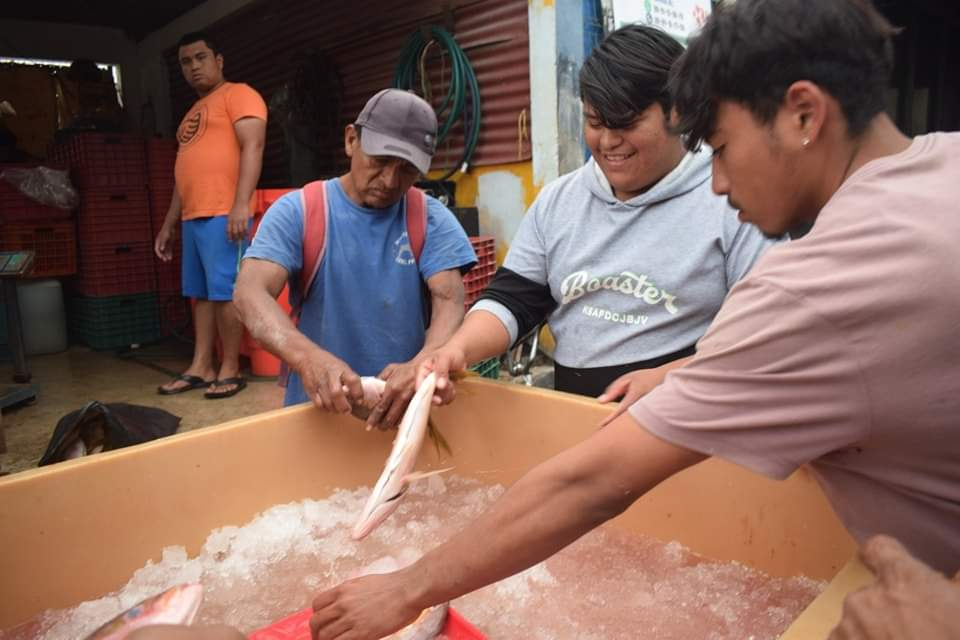 En promedio sólo traen 10 kilogramos de cola, cuando antes eran de 30 a 50 kilos.