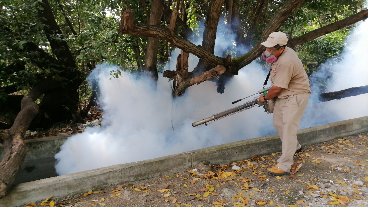 La Secretaría de Salud indica que las fumigaciones están programadas para la Entidad