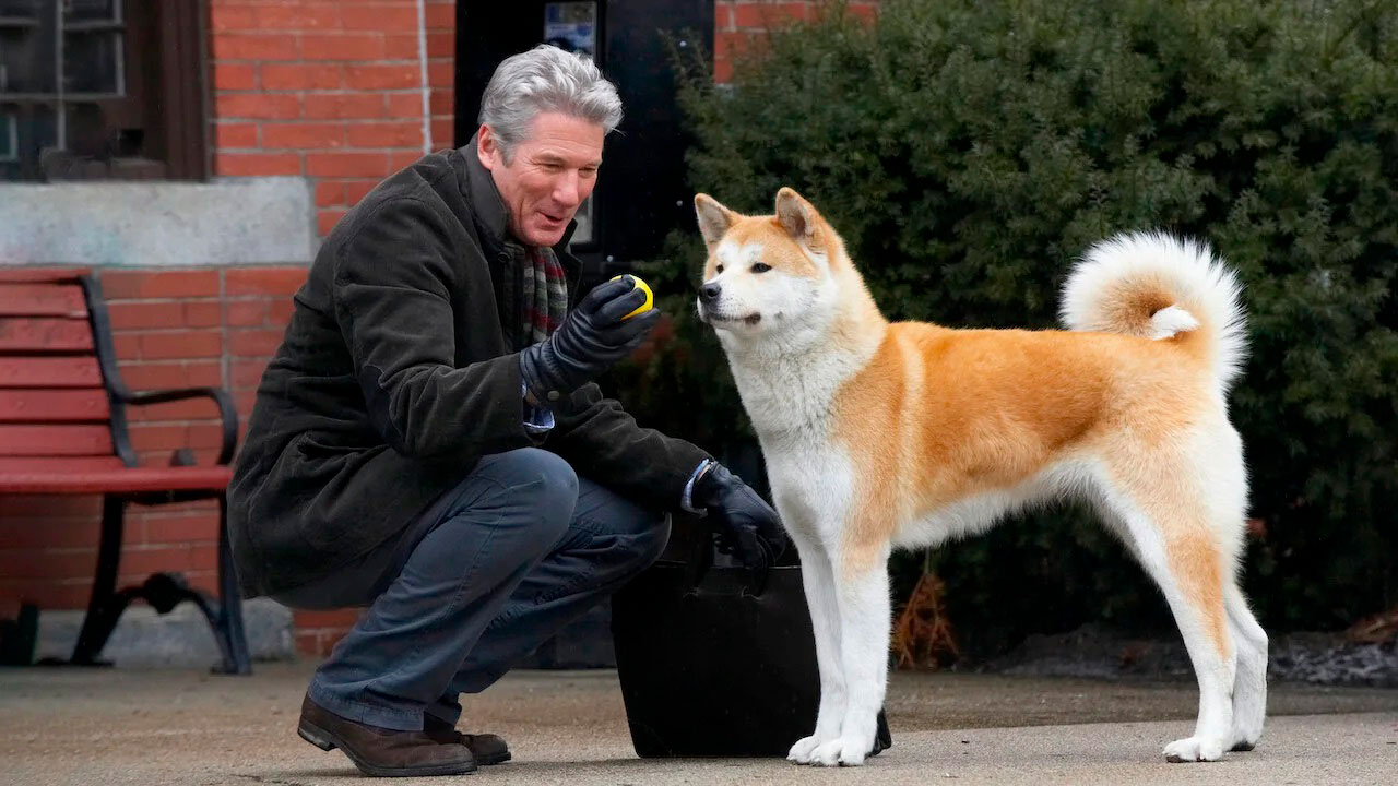 La historia de Hachiko saltó al cine, lo que hizo que muchos lloraran con ella