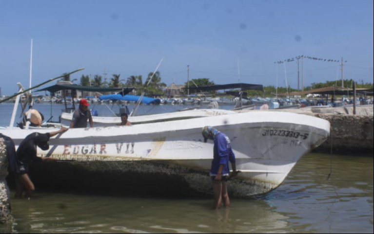 Los trabajos se llevan a cabo tanto en las dársenas como a la orilla de la playa.