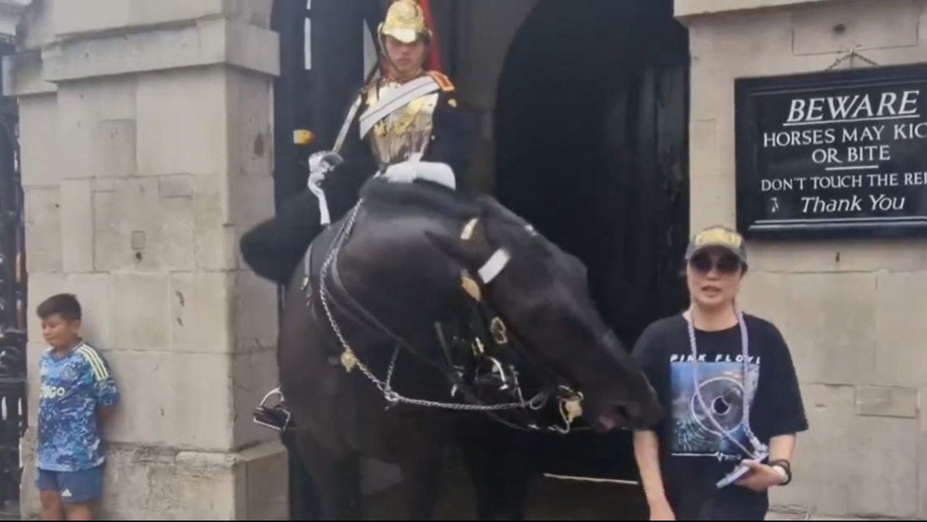 Filtran video de caballo de la Guardia Real mordiendo a una turista