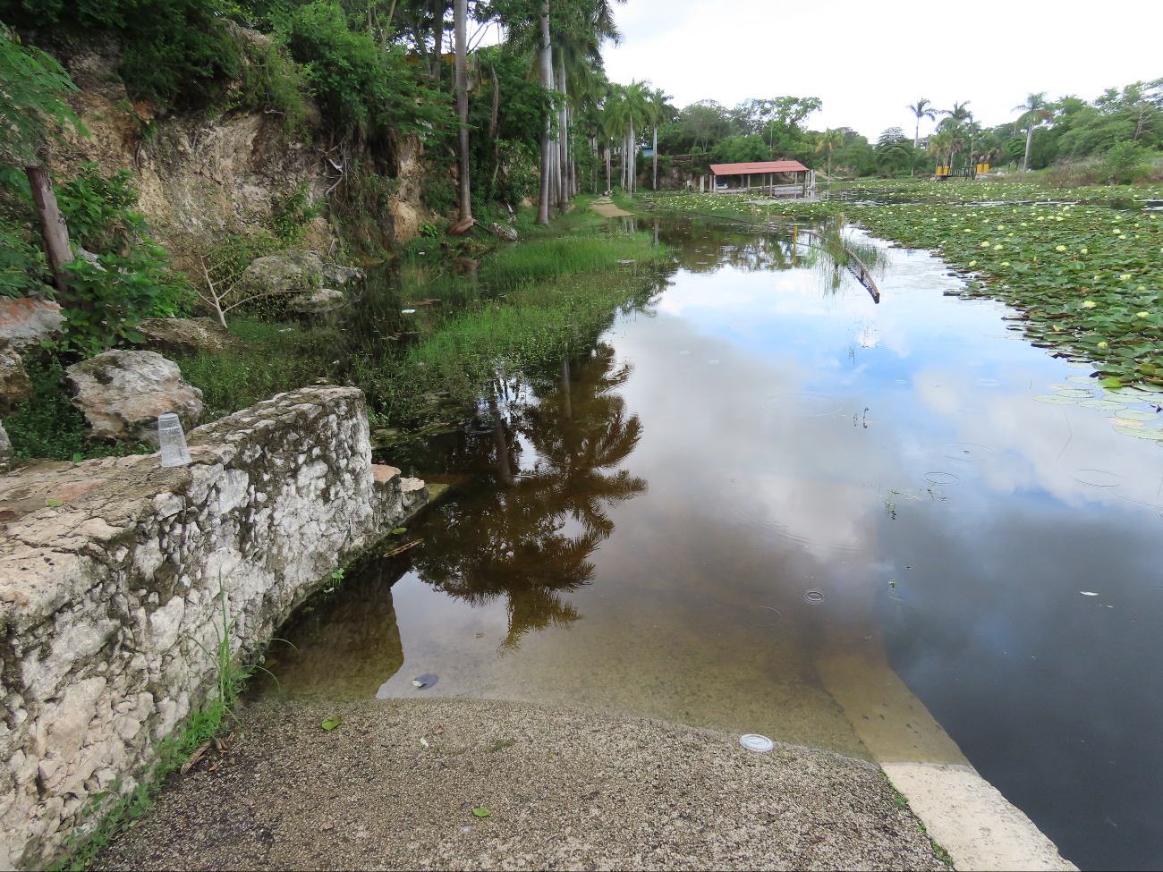 El lugar está abandonado, se ha convertido en foco rojo por los mosquitos.