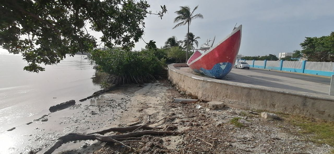 Ya no hay plantas nativas que contengan las olas