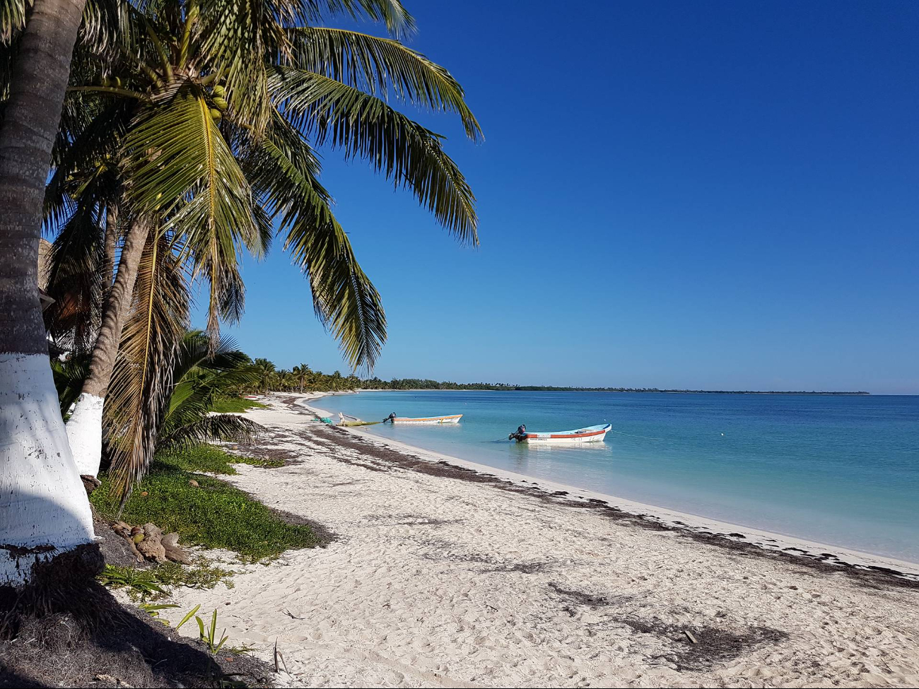 Punta Allen es un punto turístico, el cual no todos pueden visitar por su localización, pero ofrece un verdadero paraíso natural