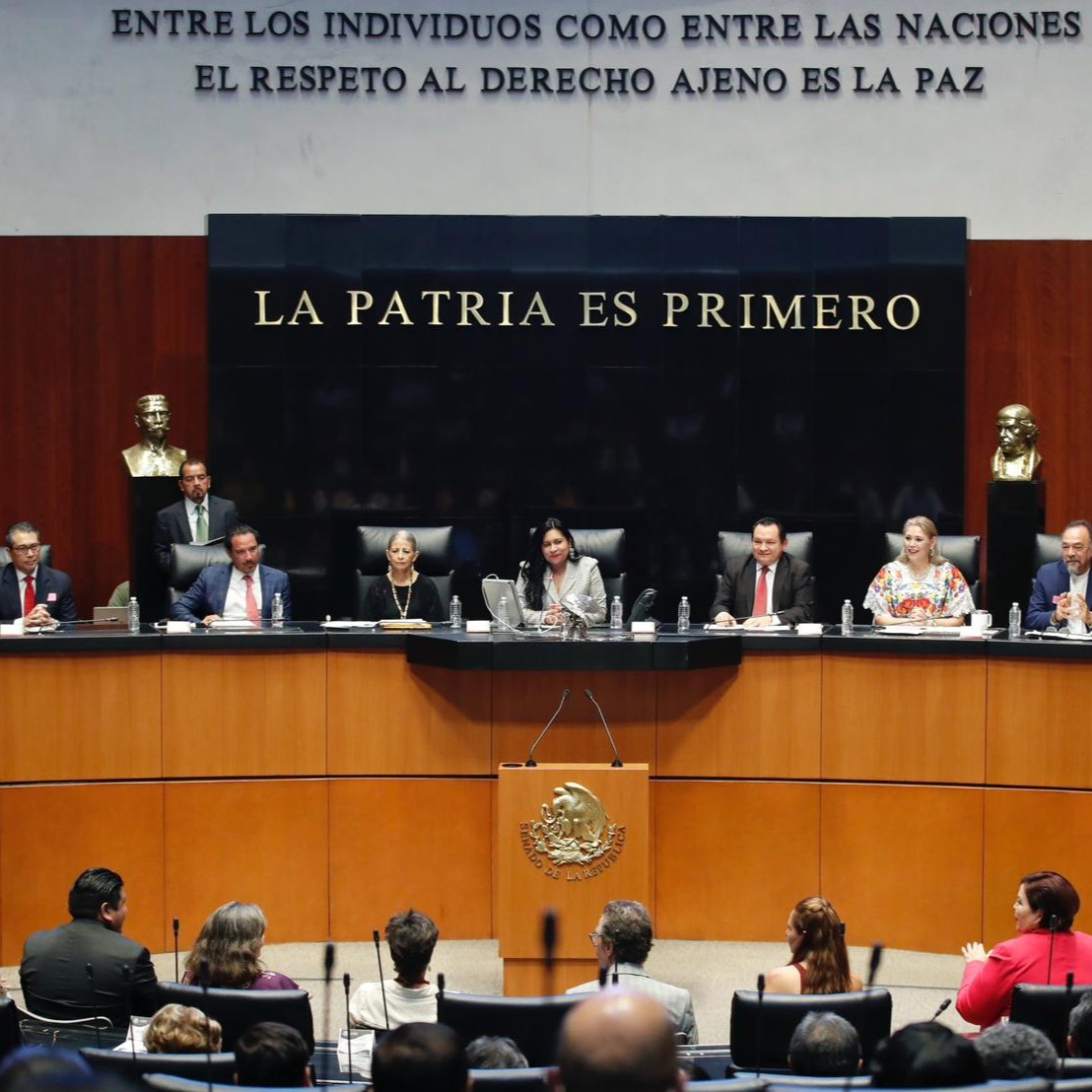 Joaquín Díaz Mena en la Cámara de Senadores