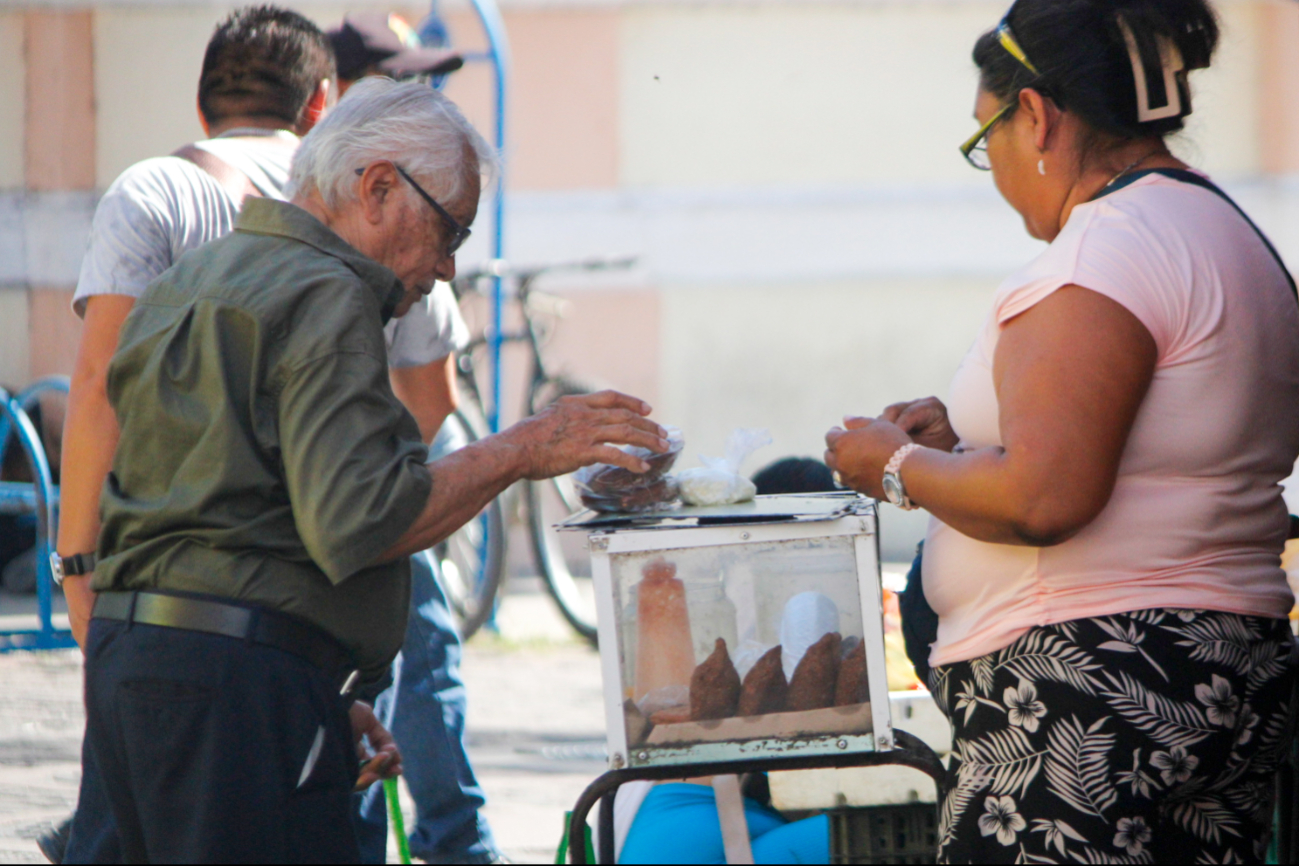 Las moscas son un riesgo de salud para los yucatecos