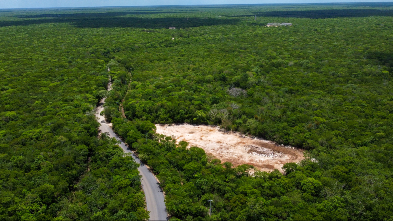 Greenpeace México ha denunciado el daño a la selva yucateca