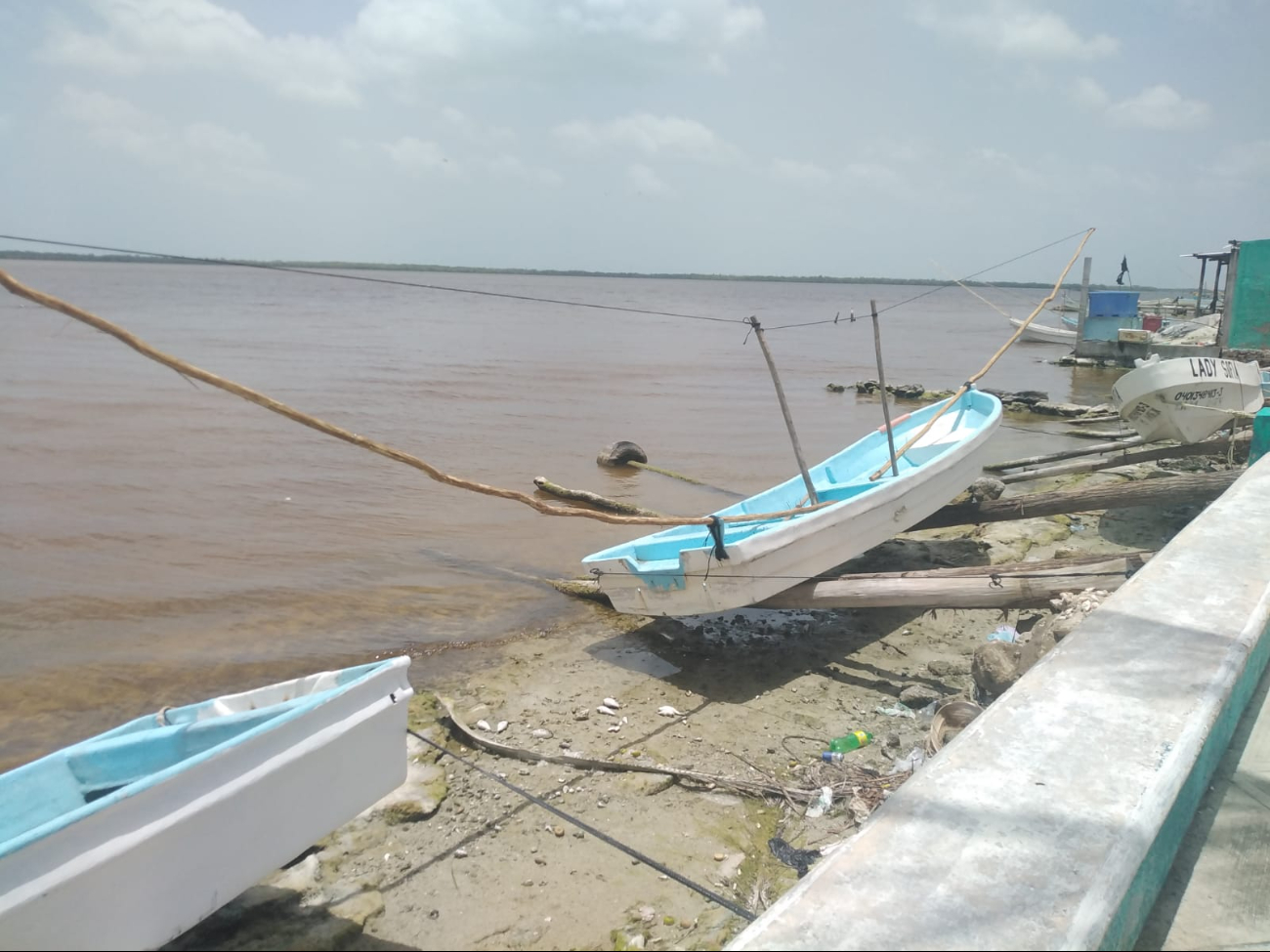 Joaquín Sánchez May, pescador, menciona que esperan capturas de alrededor de 30 kilos por lancha.