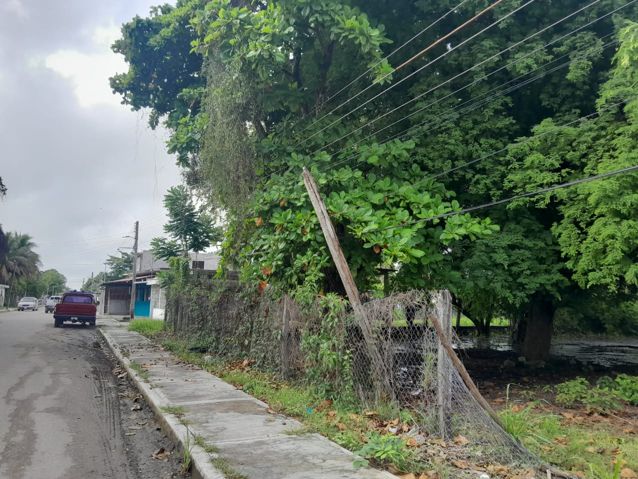 Vecinos solicitan intervención rápida para prevenir daños mayores.