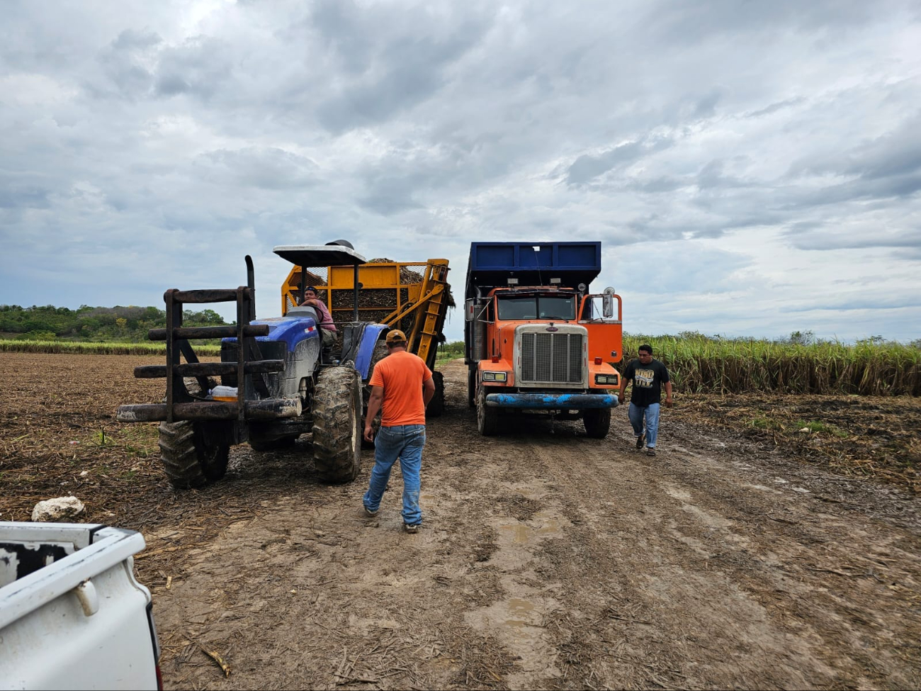 Las precipitaciones pluviales que se registraron en junio causaron anegaciones y complicaron las labores.