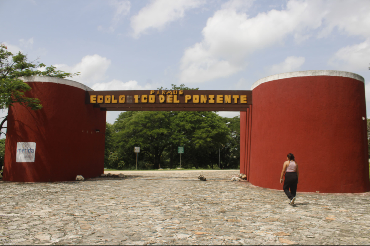 Un video viral desató la búsqueda de un cocodrilo en el Parque Ecológico del Poniente de Mérida