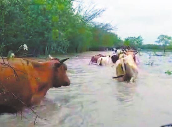 Los Chenes han sido duramente castigados por las inundaciones.