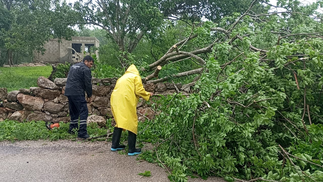 Autoridades acudieron a atender los reportes de emergencias en Motul