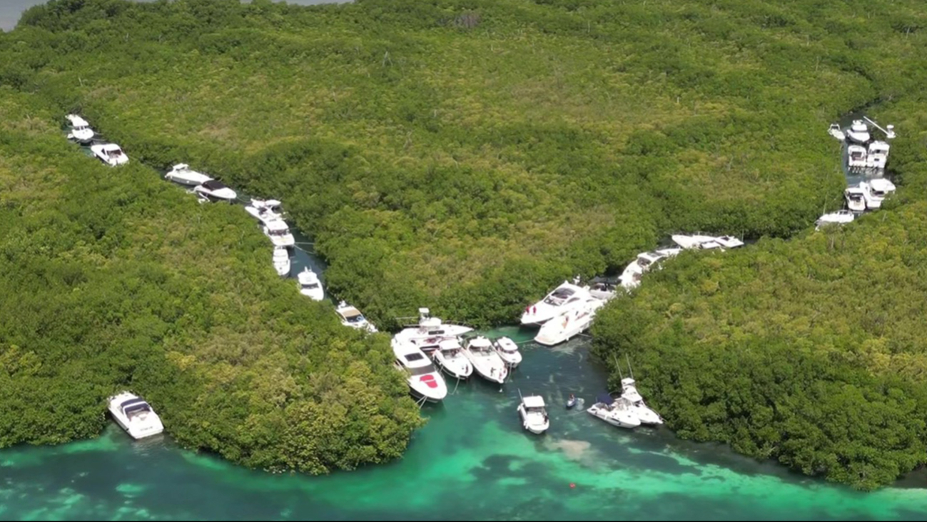 Decenas de embarcaciones fueron protegidas entre los manglares de Cancún
