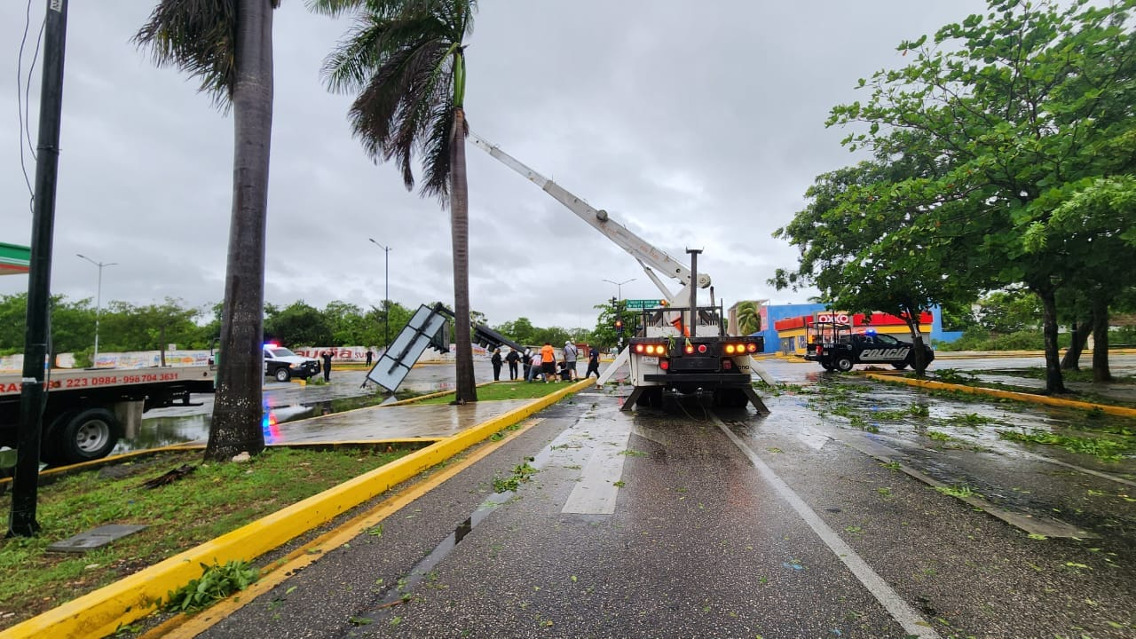 Hay postes caídos y árboles en las carreteras