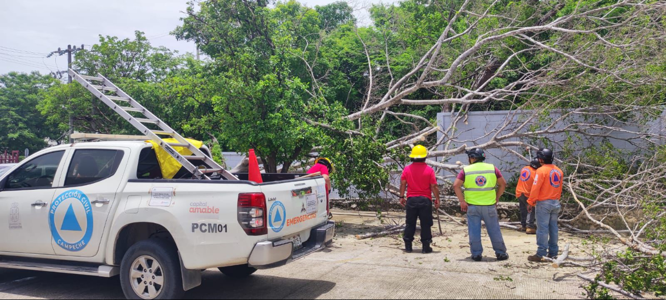   Beryl interrumpe el servicio de agua y provoca caída de árboles en Campeche  