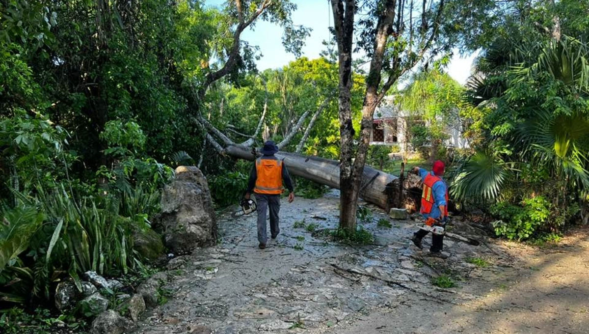 INAH reabrirá la zona arqueológica de Chichén Itzá este lunes