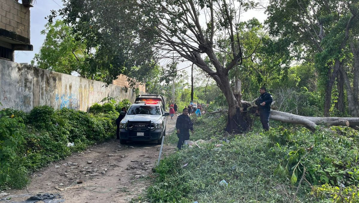 Encuentran restos humanos al interior de un predio en Cancún