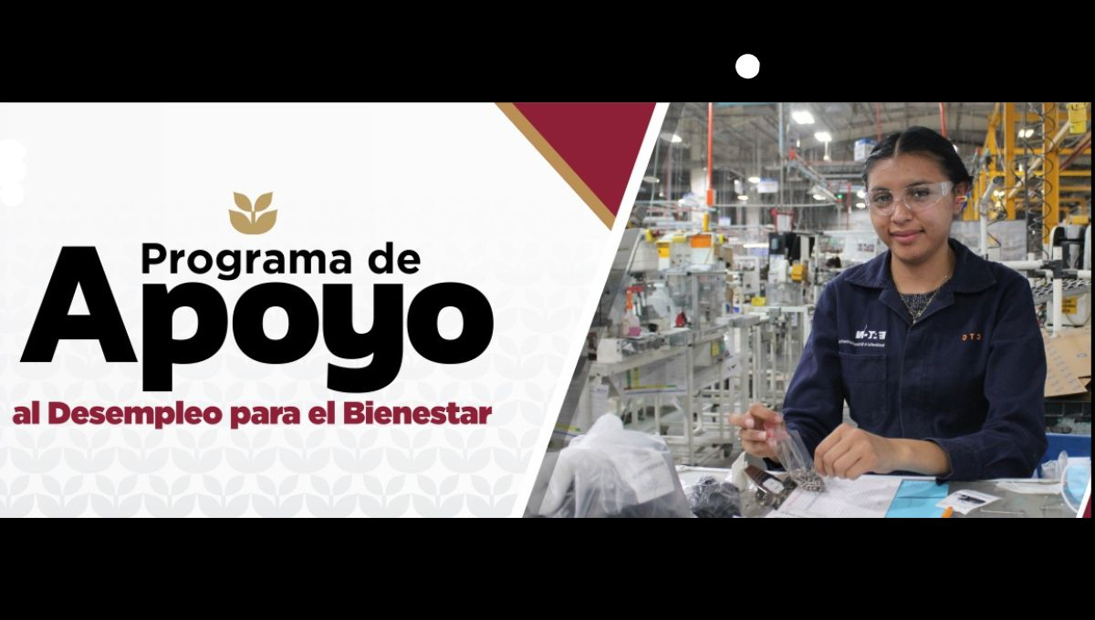 Programa de Apoyo para el Bienestar