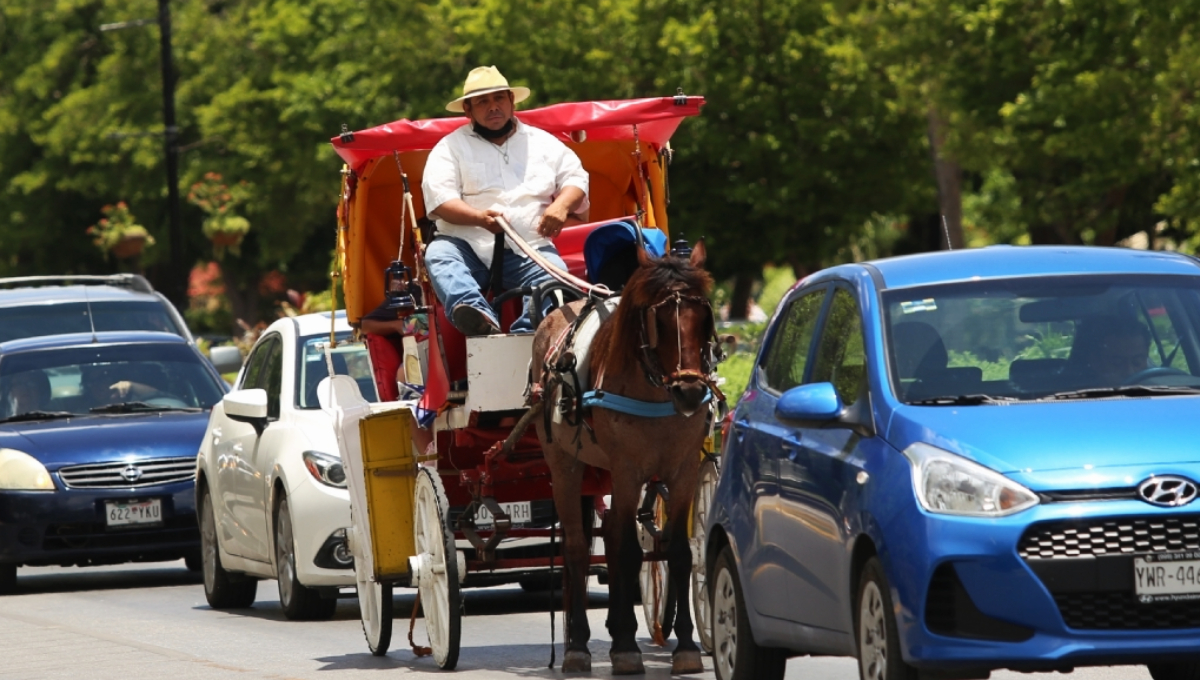 Las calesas de Mérida suman una nueva polémica