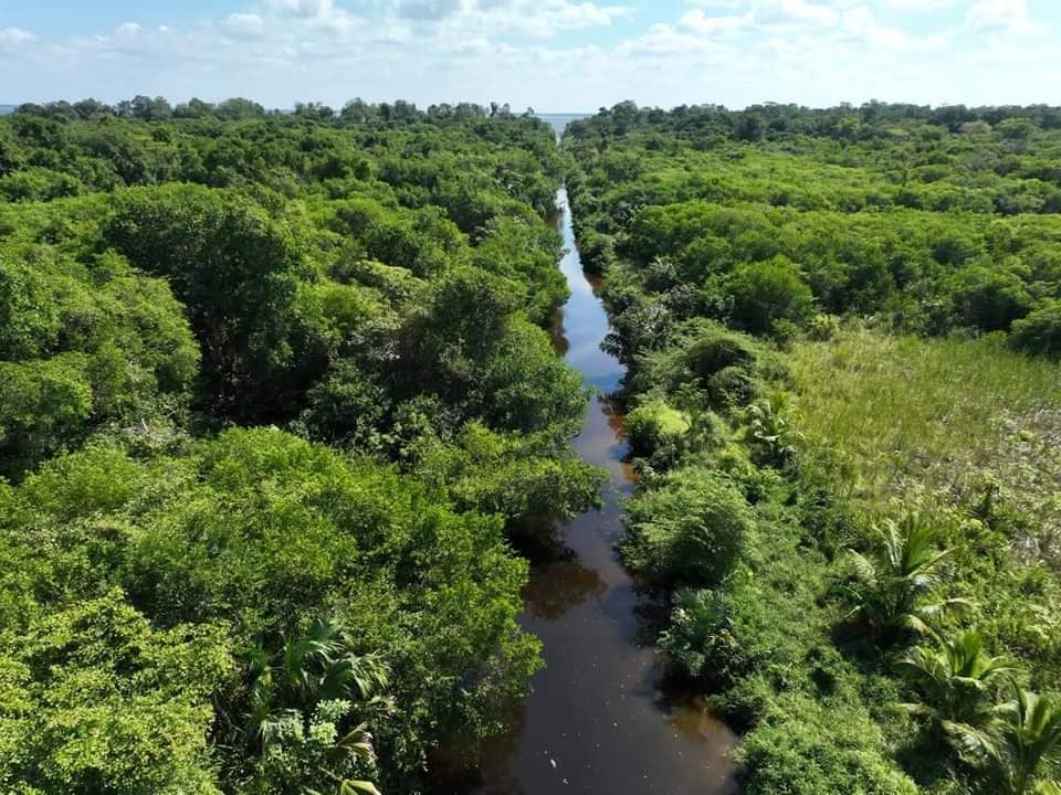 Los encargados del documento colocan al relleno sanitario bajo la CONANP.