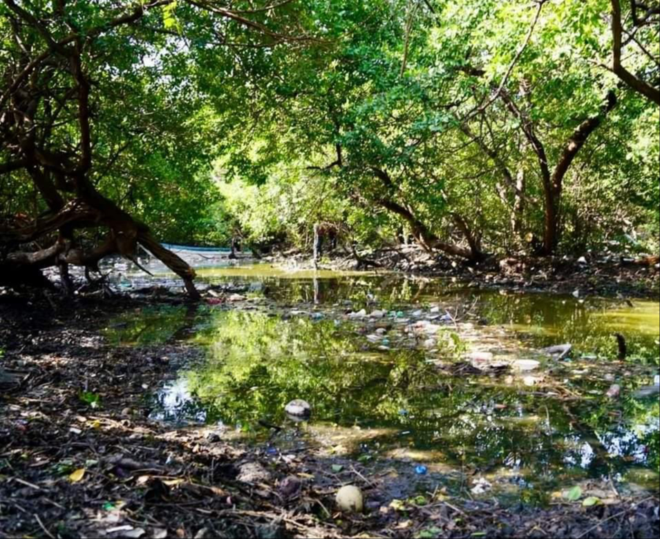 Dirección de Medio Ambiente tendría abiertos 10 expedientes por contaminación de cuerpos acuíferos