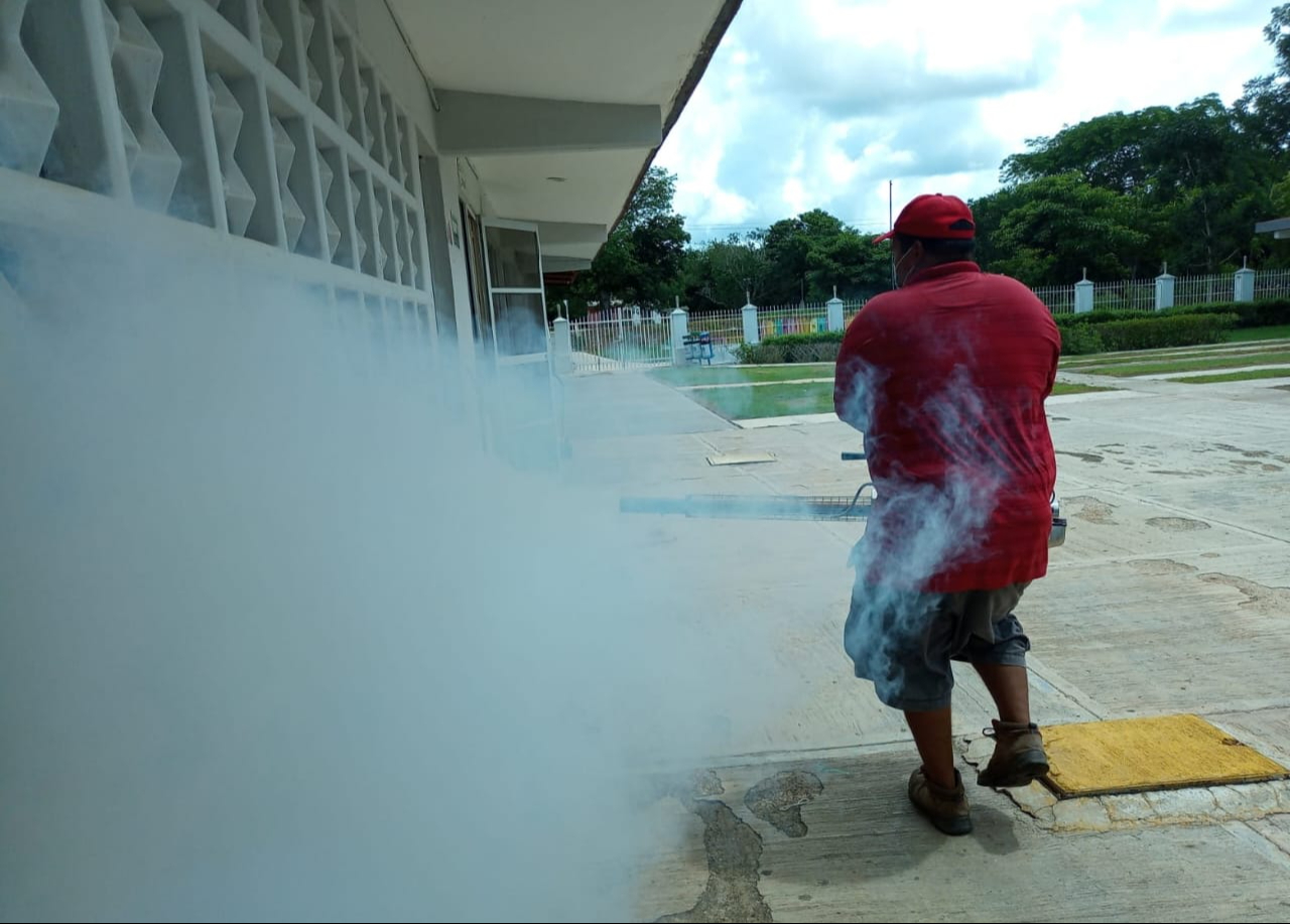 El dengue afecta más a los jóvenes que a los adultos, a diferencia del Covid-19.