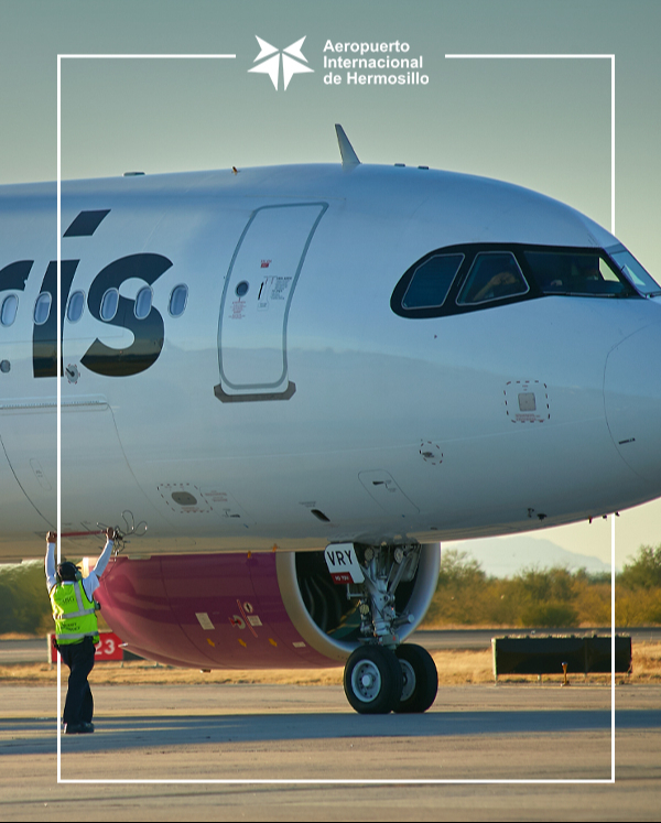 Los restos fueron localizados dentro de un avión de Volaris