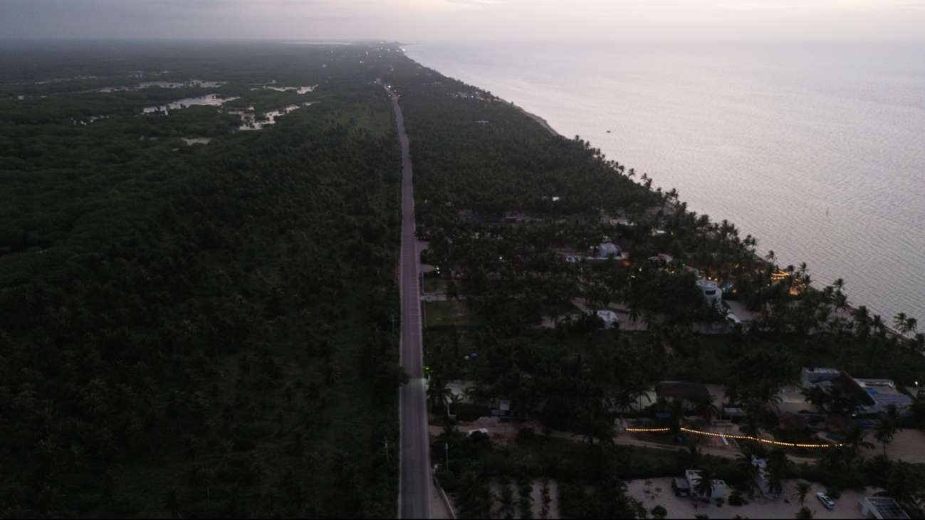 Hay una amplia zona de deforestación en Telchac