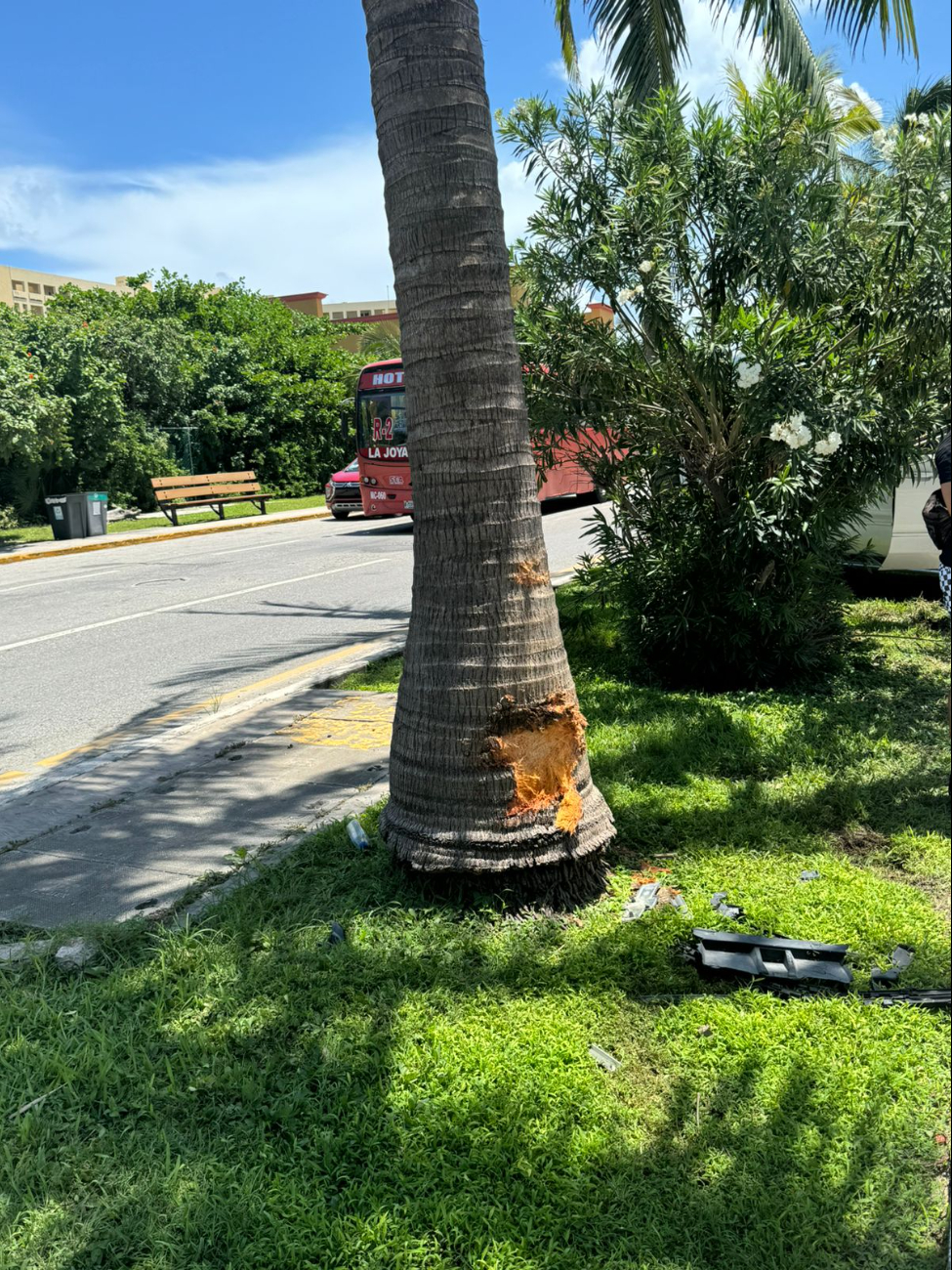 Piezas del automóvil cerca de la palmera donde ocurrió el impacto