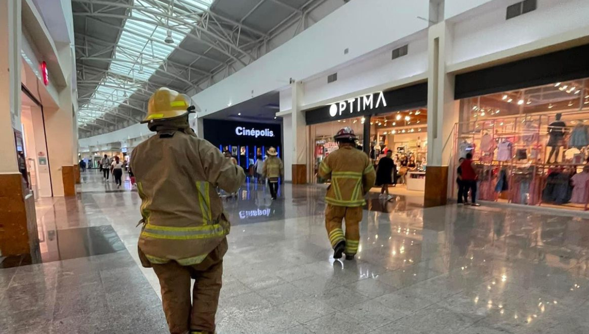 Evacuan Cinépolis en Chetumal por panal de abejas