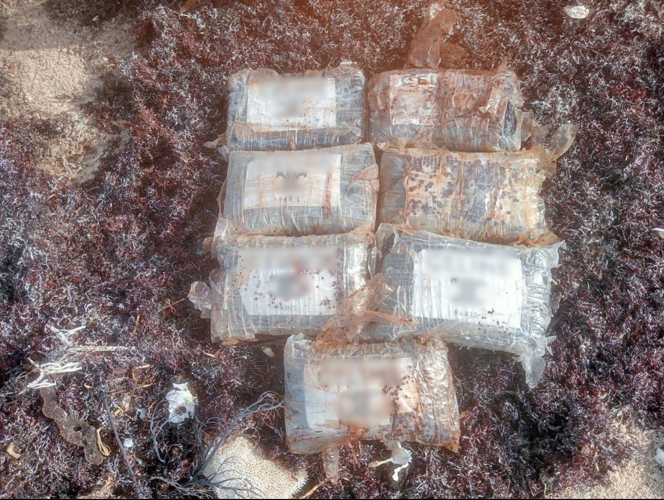 Paquetes restantes de presunta cocaína localizados en Cozumel