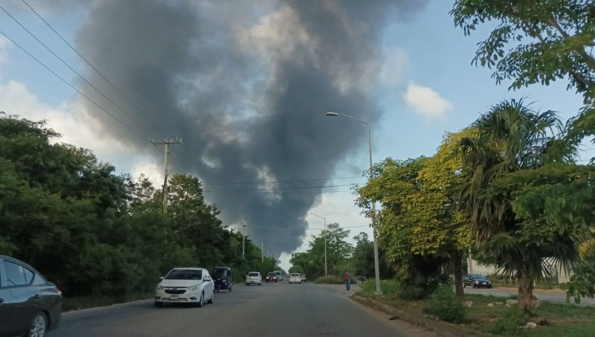 Combaten incendio en el antiguo basurero de Cancún: VIDEO