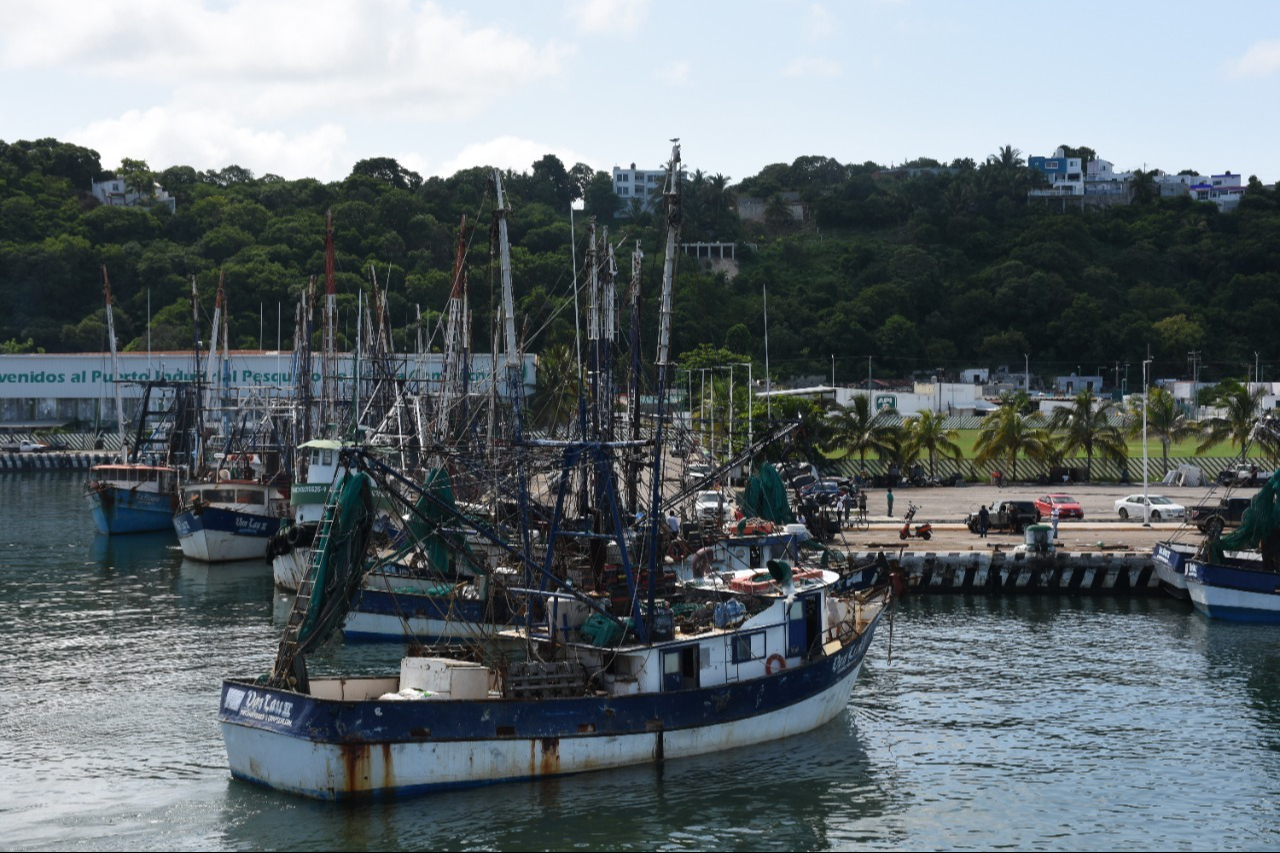 La veda del camarón en Campeche y Quintana Roo se aplazó 21 días por acuerdo entre productores y autoridades.