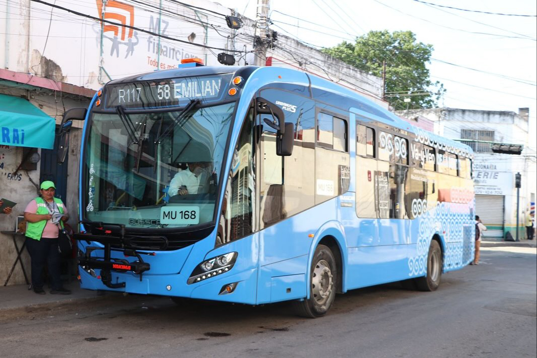 Los autobuses comenzarán a operar desde este viernes y del 16 al 23 el servicio será gratuito.