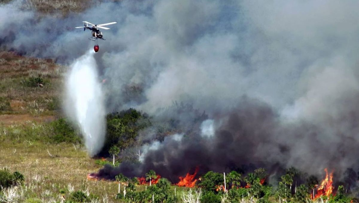 Operativo para terminar con el incendio en Sisal