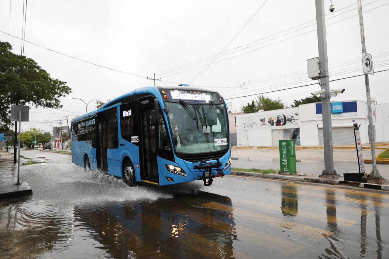 Serán 17 unidades de Va y Ven que comenzarán a operar