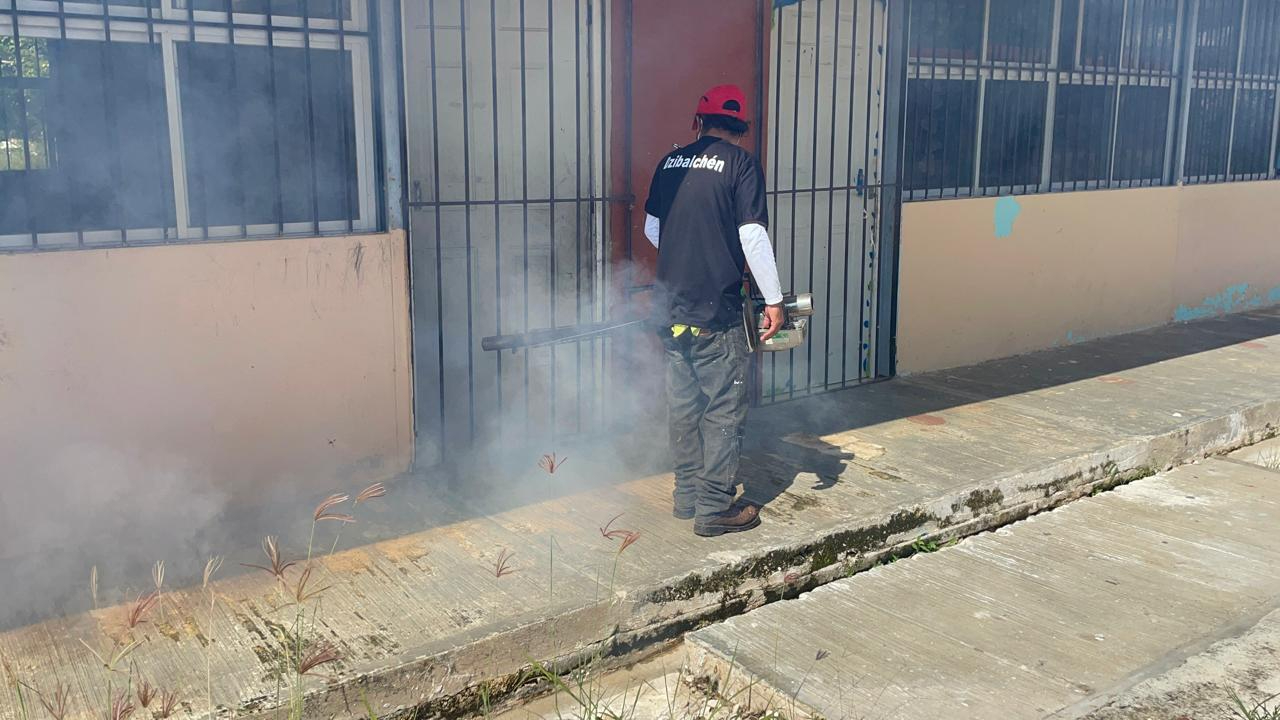 Vectores, fumigó alrededores de las casas de los contagiados