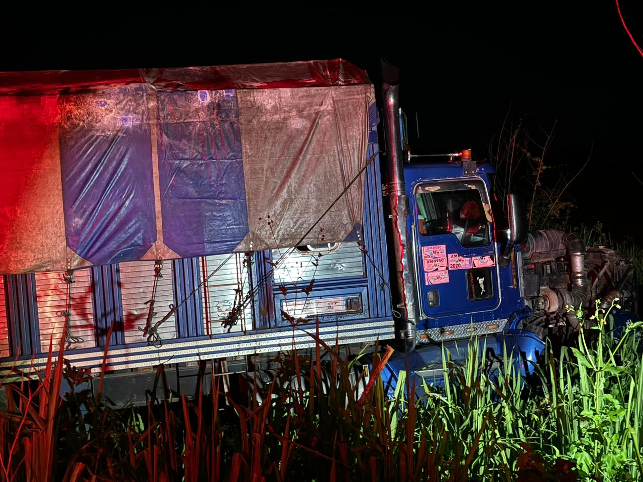 El torton acabó sobre la maleza en la carretera