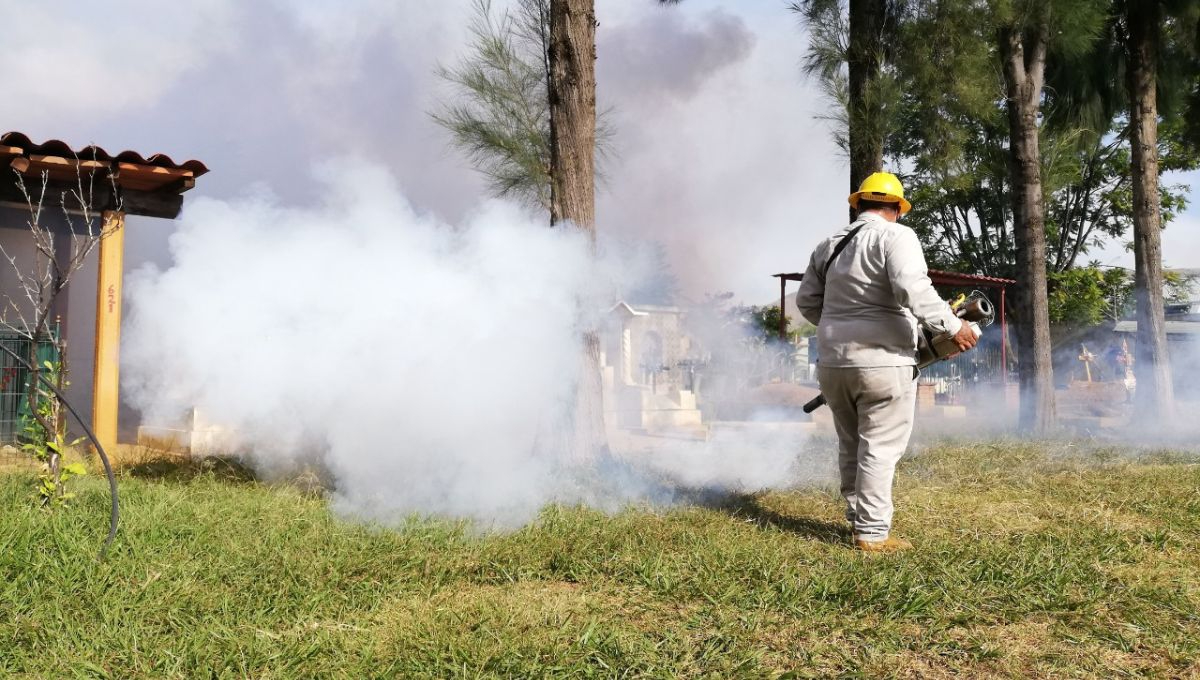 Guerrero es la entidad con mayor número de casos de dengue en el país