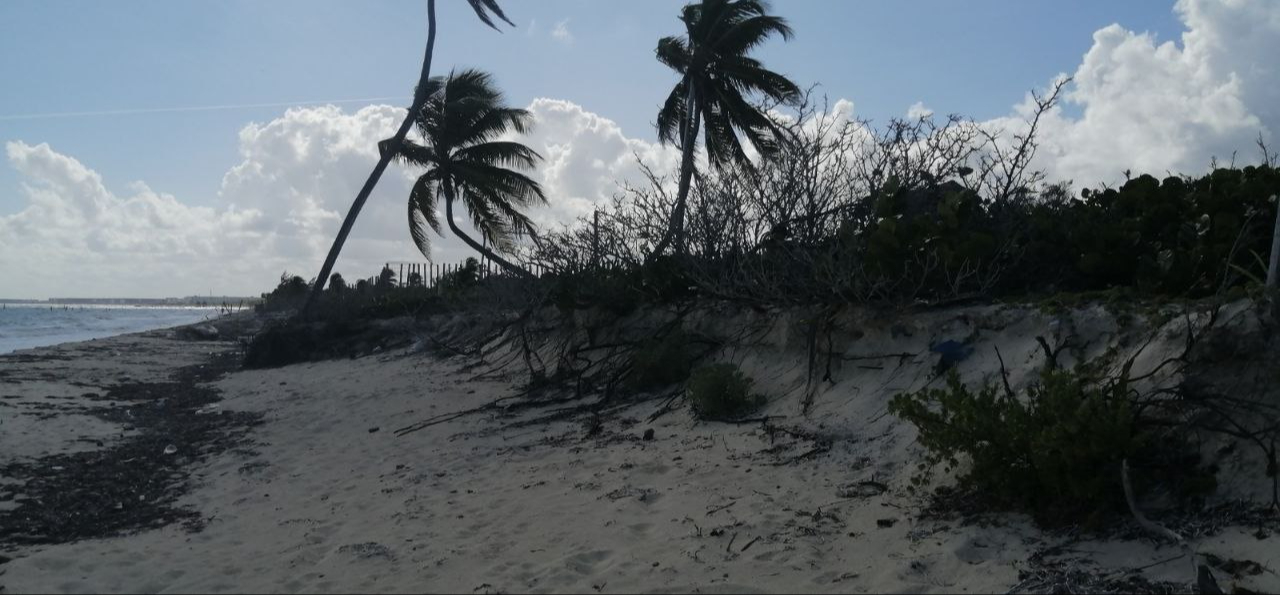 En la Zona Continental, el mar se “comió” hasta 15 metros de arenal.