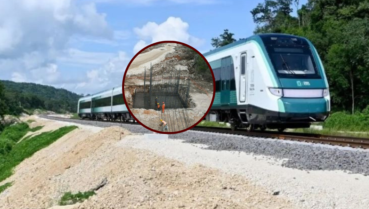 Expropian terrenos de Quintana Roo, Campeche y Tabasco para el Tren Maya