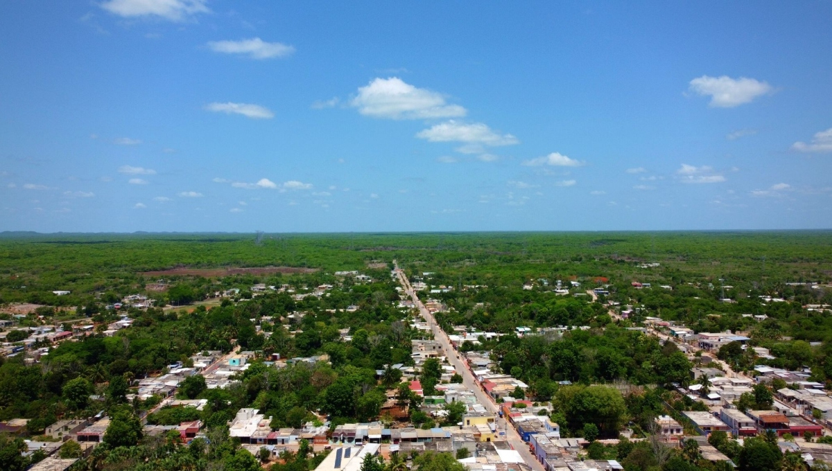 Grupo Xcaret pagó centavos por hectáreas donde intenta construir un megaparque en Yucatán